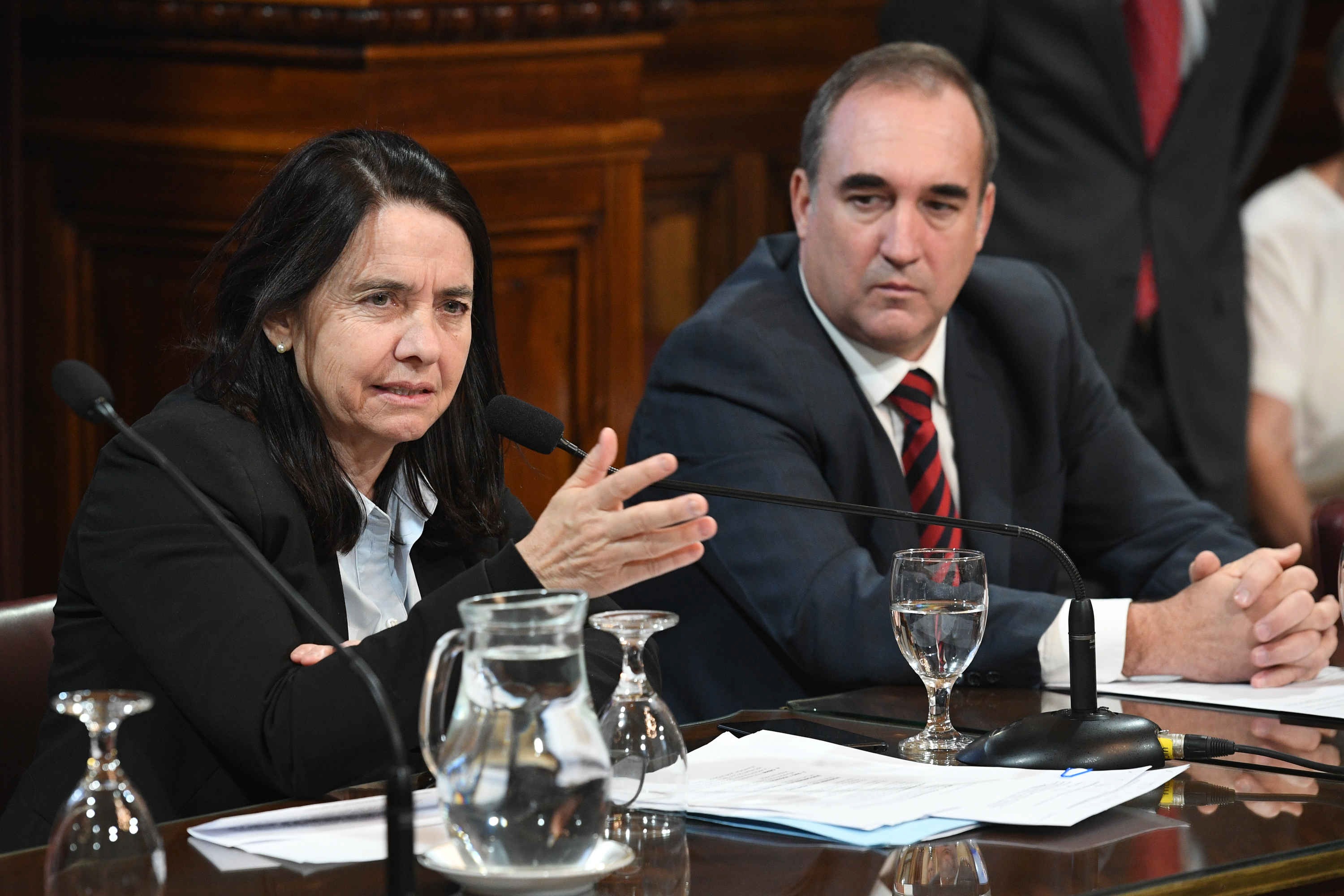 Afirman que el proyecto para suspender las PASO tendría dictamen este ...