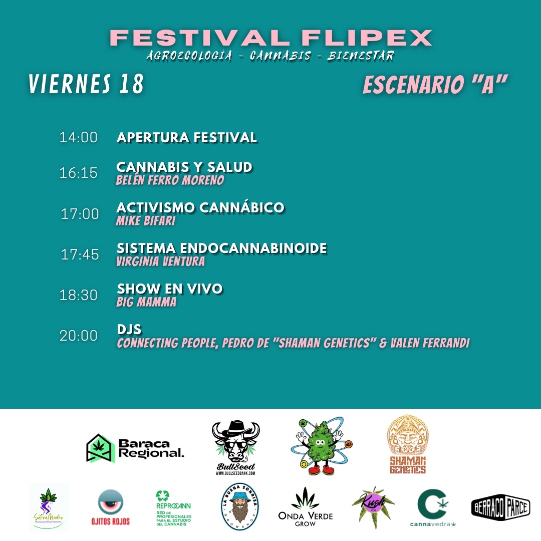 Grilla Campamento Flipex Tornquist 